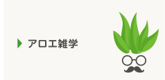 アロエ雑学
