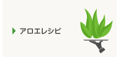 アロエレシピ