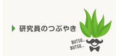 研究員のつぶやき