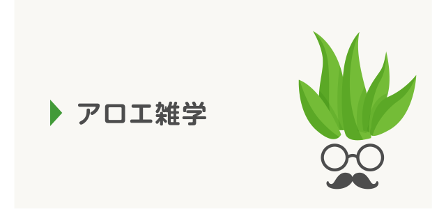 アロエ雑学