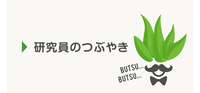 研究員のつぶやき