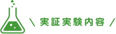 実証実験内容