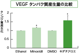 VEGF タンパク質産生量の比較