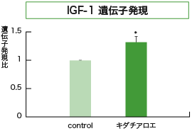 IGF-1 遺伝子発現