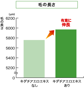 毛の長さ