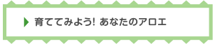 育ててみよう！ あなたのアロエ