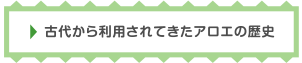 古代から利用されてきたアロエの歴史