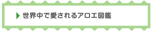 世界中で愛されるアロエ図鑑